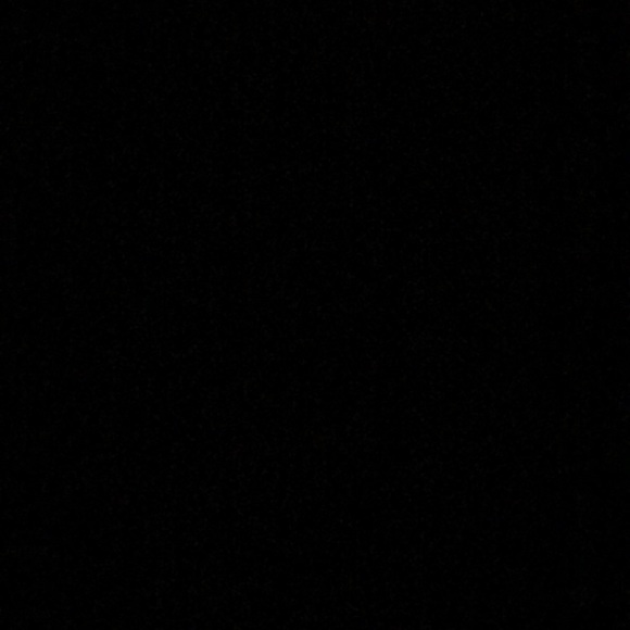 Meet your Posher, Dana - Picture 1 of 1